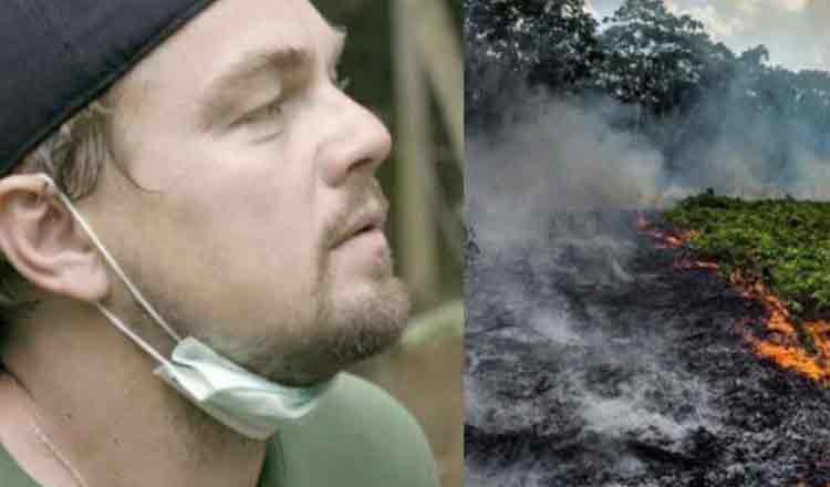 Leonardo DiCaprio a donat 5 milioane de dolari pentru salvarea Pădurii Amazoniene
